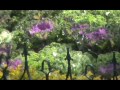 Ooty Botanical Garden