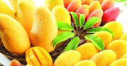 à´®à´¾à´®àµà´ªà´´à´‚ à´•à´´à´¿à´šàµà´šà´¾à´²àµâ€ à´—àµà´£à´™àµà´™à´³àµ‡à´±àµ† Mango Health Benefits 