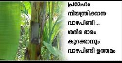 à´µà´¾à´´à´ªà´¿à´£àµà´Ÿà´¿à´¯àµà´Ÿàµ† à´—àµà´£à´™àµà´™à´³àµâ€ Banana Stem Health Benefits