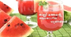 à´¤à´£àµà´£à´¿ à´®à´¤àµà´¤à´¨àµà´±àµ† à´†à´°àµ‹à´—àµà´¯ à´—àµà´£à´™àµà´™àµ¾ Amazing Health Benefits of Watermelon 