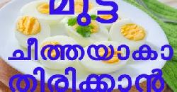 à´®àµà´Ÿàµà´Ÿ à´šàµ€à´¤àµà´¤à´¯à´¾à´•à´¾à´¤à´¿à´°à´¿à´•àµà´•à´¾àµ» How to Store Fresh Eggs