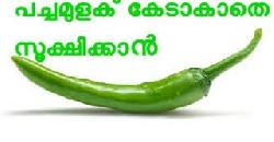 à´ªà´šàµà´šà´®àµà´³à´•àµ à´•àµ‡à´Ÿà´¾à´•à´¾à´¤àµ† à´¸àµ‚à´•àµà´·à´¿à´•àµà´•à´¾àµ» How to Preserve Green Chillies Fo