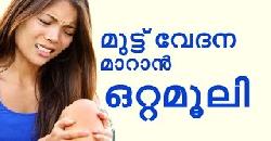 à´®àµà´Ÿàµà´Ÿàµ à´µàµ‡à´¦à´¨ à´®à´¾à´±à´¾àµ» à´’à´±àµà´±à´®àµ‚à´²à´¿ Natural Home Remedies for Knee Pain