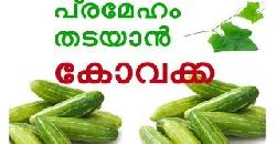 à´ªàµà´°à´®àµ‡à´¹à´‚ à´¤à´Ÿà´¯à´¾àµ» à´•àµ‹à´µà´•àµà´• Natural Remedy For Diabetes