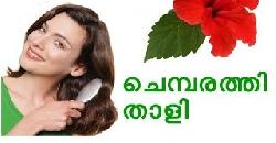 à´®àµà´Ÿà´¿ à´¤à´´à´šàµà´šàµ à´µà´³à´°à´¾à´¨àµâ€ à´šàµ†à´®àµà´ªà´°à´¤àµà´¤à´¿ à´¤à´¾à´³à´¿ How to Make Your Hair