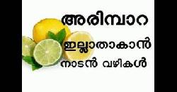 à´…à´°à´¿à´®àµà´ªà´¾à´± à´…à´•à´±àµà´±à´¾à´¨àµà´³àµà´³ à´®à´¾àµ¼à´—àµà´—à´™àµà´™àµ¾ Natural Home Remedies For Wart