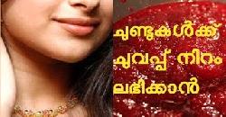 à´šàµà´£àµà´Ÿàµà´•à´³àµà´Ÿàµ† à´¸àµ—à´¨àµà´¦à´°àµà´¯ à´¸à´‚à´°à´•àµà´·à´£à´‚ Tips to Get Soft Pink Lips Naturally