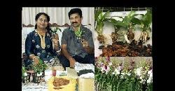 à´žà´¾à´¨àµà´‚ à´Žà´¨àµà´±àµ† à´“àµ¼à´•àµà´•à´¿à´¡àµ à´šàµ†à´Ÿà´¿à´•à´³àµà´‚ Dendrobium Orchid Plant Care