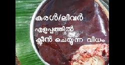 à´•à´°àµ¾/à´²à´¿à´µàµ¼ à´•à´´à´¿à´šàµà´šà´¾à´²àµà´³àµà´³ à´—àµà´£à´™àµà´™à´³àµà´‚ à´¨à´¨àµà´¨à´¾à´•àµà´•àµà´¨àµ