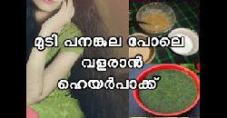 à´®àµà´Ÿà´¿ à´ªà´¨à´™àµà´•àµà´² à´ªàµ‹à´²àµ† à´µà´³à´°à´¾àµ» à´¹àµ†à´¯à´°àµâ€à´ªà´¾à´•àµà´•àµ  Homemade Hair Wash