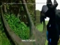 Manisha Koirala Hot Biggies Bouncing